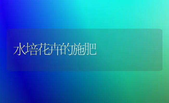 水培花卉的施肥 | 种植肥料施肥
