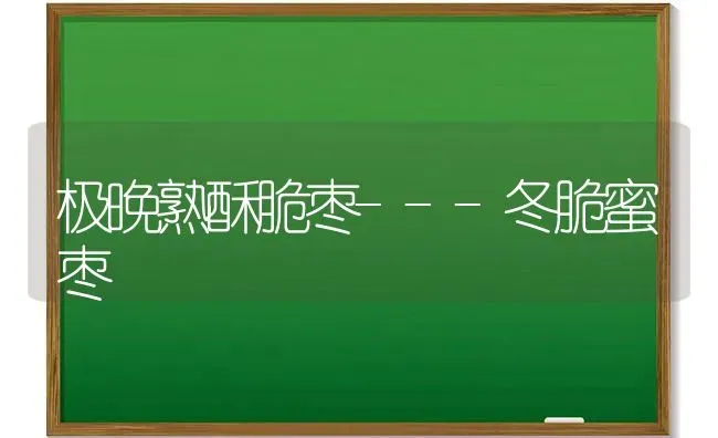 极晚熟酥脆枣---冬脆蜜枣 | 瓜果种植