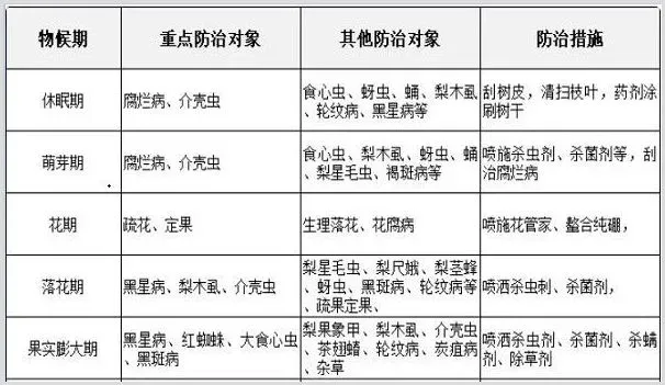 梨树病虫害防治时间表 | 种植病虫害