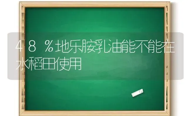 48％地乐胺乳油能不能在水稻田使用 | 粮油作物种植