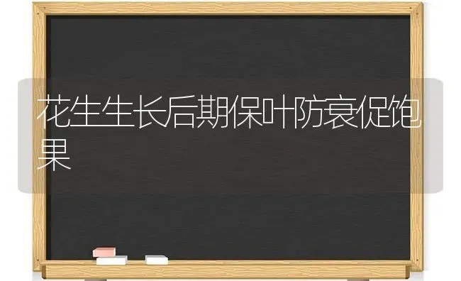 花生生长后期保叶防衰促饱果 | 瓜果种植