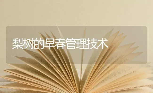 梨树的早春管理技术 | 瓜果种植