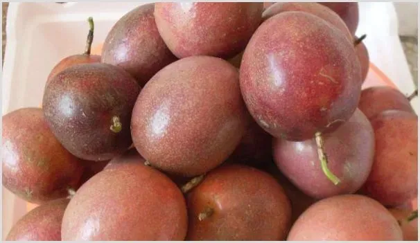 百香果什么时候成熟 | 种植资料