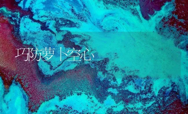 巧防萝卜空心 | 蔬菜种植