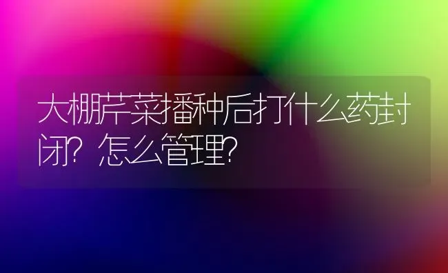 大棚芹菜播种后打什么药封闭？怎么管理？ | 蔬菜种植