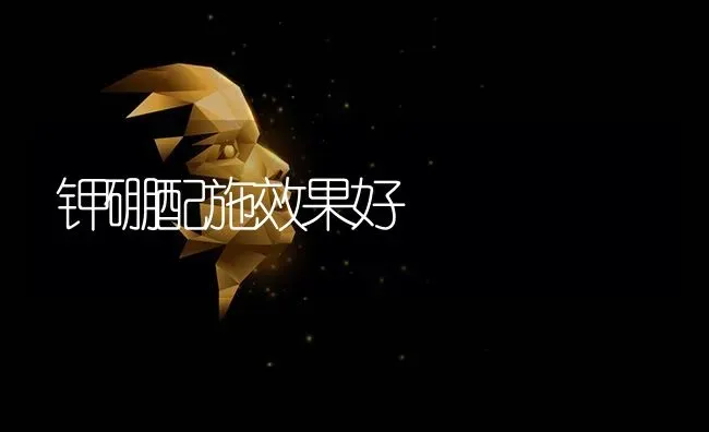 钾硼配施效果好 | 瓜果种植