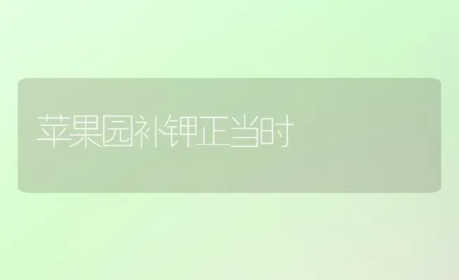 苹果园补钾正当时 | 瓜果种植