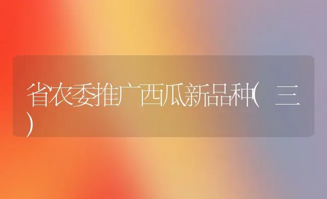 省农委推广西瓜新品种(三) | 瓜果种植