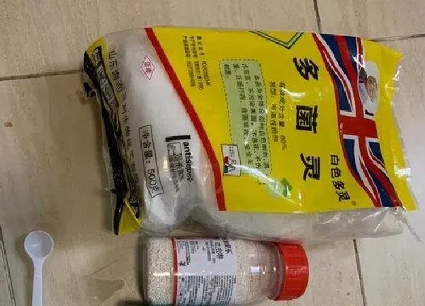 植物浇水|多菌灵可以浇君子兰吗