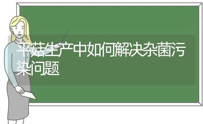 平菇生产中如何解决杂菌污染问题 | 食用菌种植