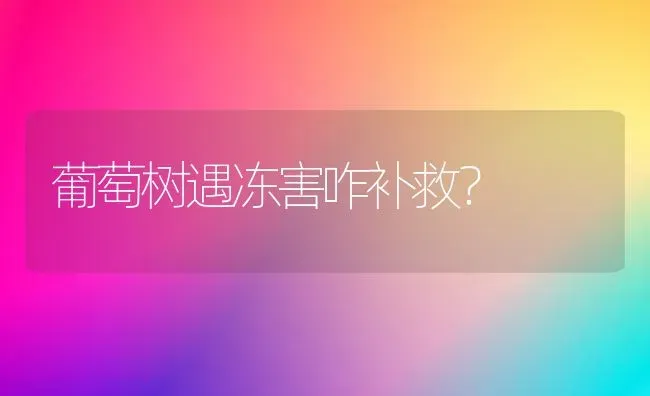 葡萄树遇冻害咋补救？ | 瓜果种植