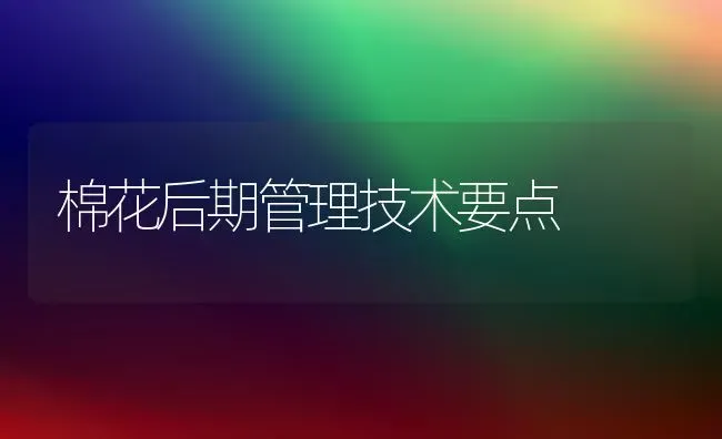 棉花后期管理技术要点 | 粮油作物种植