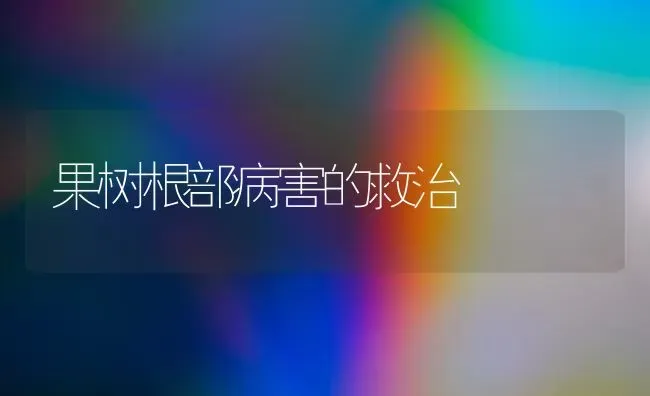 果树根部病害的救治 | 瓜果种植