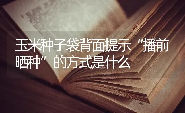 玉米种子袋背面提示“播前晒种”的方式是什么 | 粮油作物种植