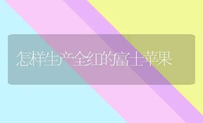 怎样生产全红的富士苹果 | 瓜果种植