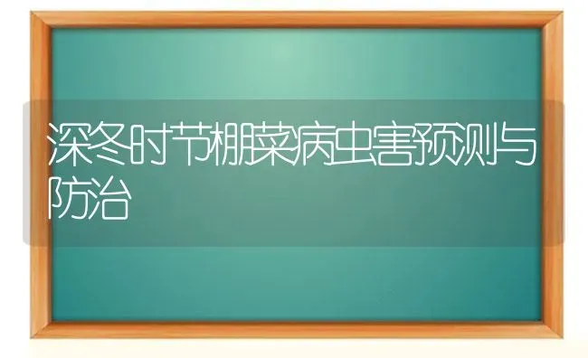 深冬时节棚菜病虫害预测与防治 | 种植病虫害防治