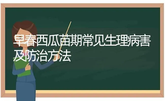 早春西瓜苗期常见生理病害及防治方法 | 瓜果种植