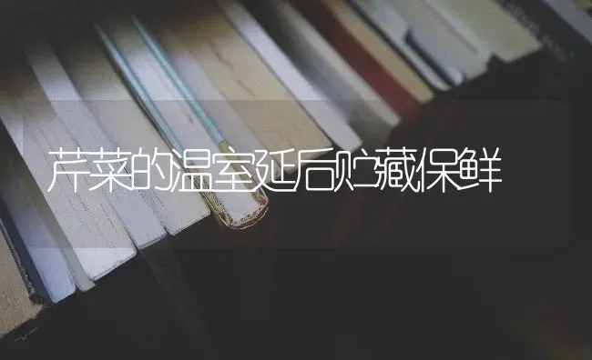 芹菜的温室延后贮藏保鲜 | 蔬菜种植