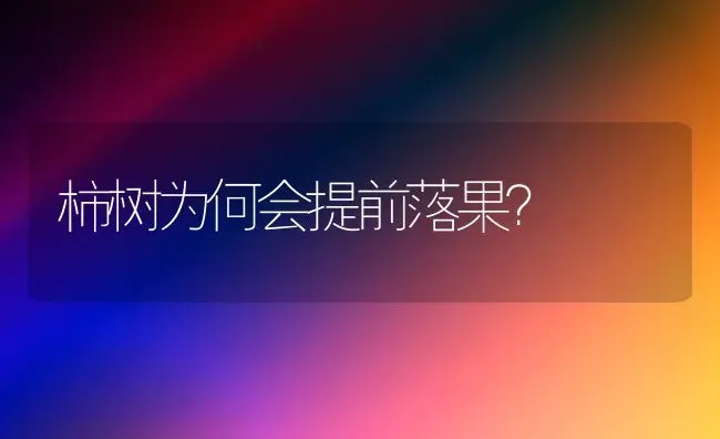 柿树为何会提前落果？ | 瓜果种植