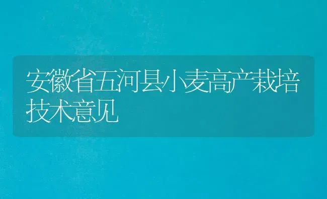 安徽省五河县小麦高产栽培技术意见 | 粮油作物种植