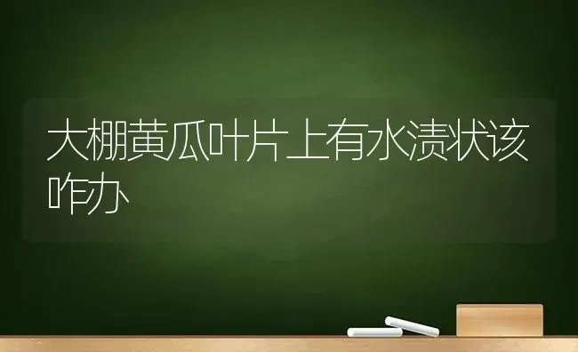 大棚黄瓜叶片上有水渍状该咋办 | 蔬菜种植