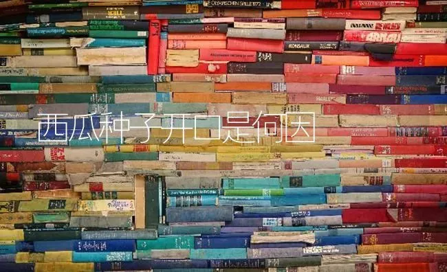 西瓜种子开口是何因 | 瓜果种植