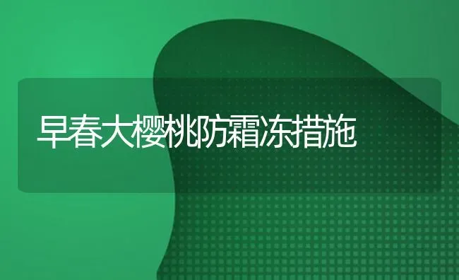 早春大樱桃防霜冻措施 | 瓜果种植