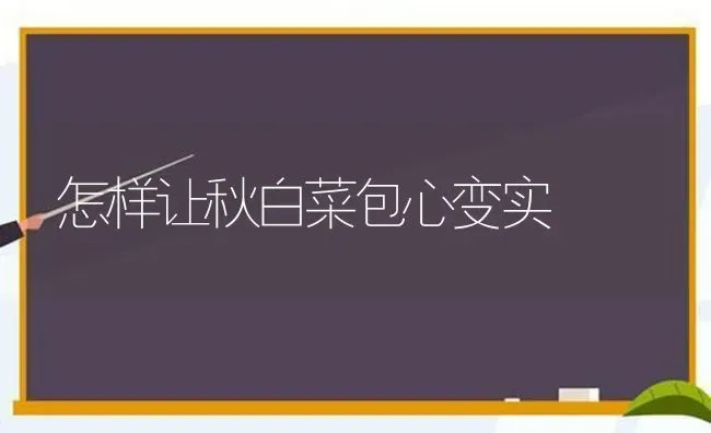 怎样让秋白菜包心变实 | 蔬菜种植