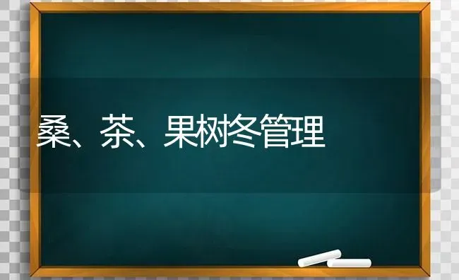 桑、茶、果树冬管理 | 瓜果种植