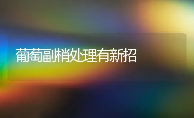 葡萄副梢处理有新招 | 瓜果种植