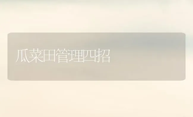 瓜菜田管理四招 | 蔬菜种植