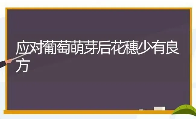 应对葡萄萌芽后花穗少有良方 | 瓜果种植