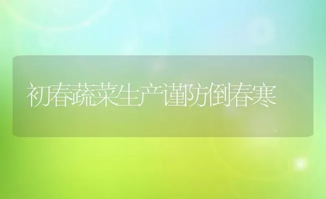 初春蔬菜生产谨防倒春寒 | 蔬菜种植