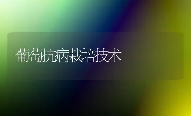 葡萄抗病栽培技术 | 瓜果种植