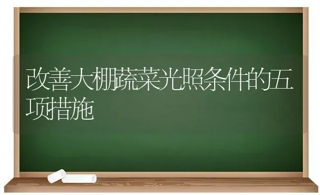 改善大棚蔬菜光照条件的五项措施 | 蔬菜种植