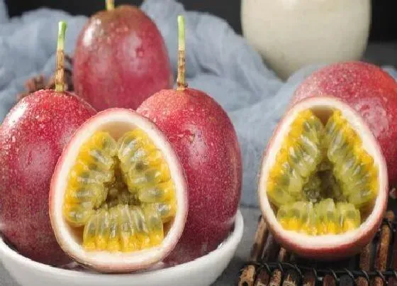 植物香味|百香果是什么味道的