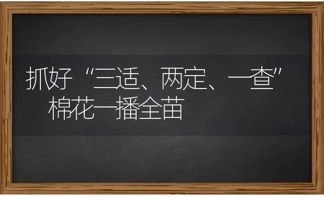 抓好“三适、两定、一查” 棉花一播全苗 | 粮油作物种植