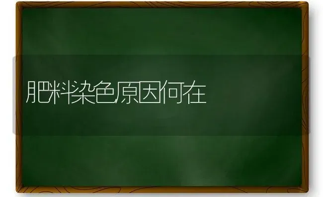 肥料染色原因何在 | 种植肥料施肥