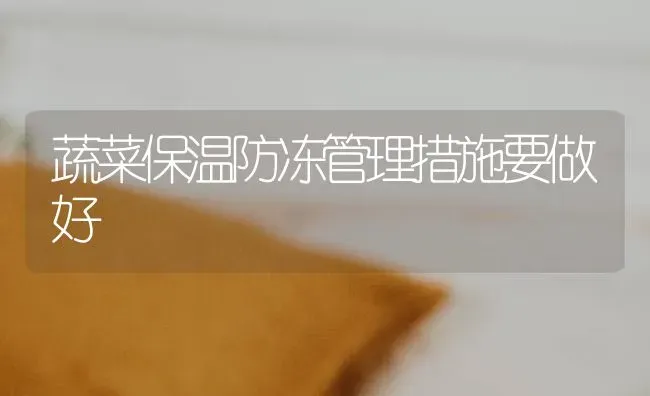 蔬菜保温防冻管理措施要做好 | 蔬菜种植