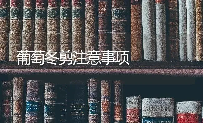 葡萄冬剪注意事项 | 瓜果种植