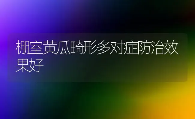 棚室黄瓜畸形多对症防治效果好 | 瓜果种植