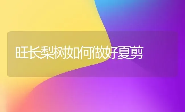 旺长梨树如何做好夏剪 | 瓜果种植