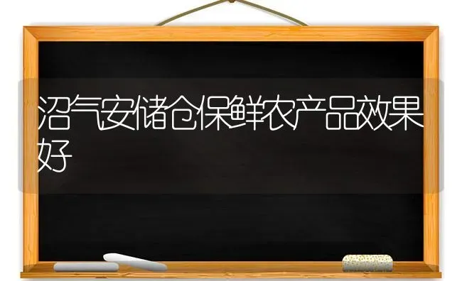 沼气安储仓保鲜农产品效果好 | 瓜果种植