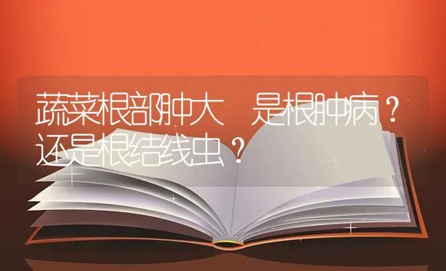 蔬菜根部肿大 是根肿病？还是根结线虫？ | 蔬菜种植