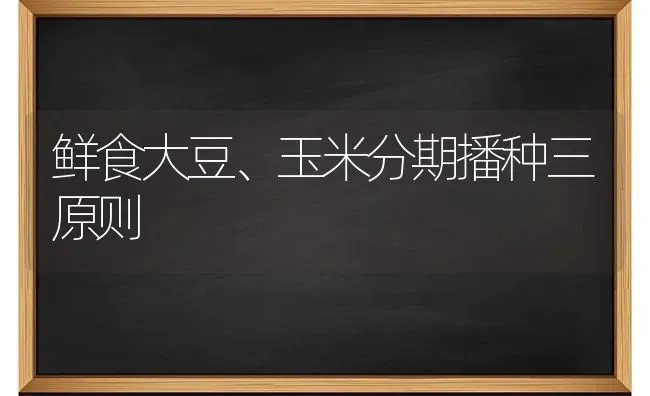 鲜食大豆、玉米分期播种三原则 | 粮油作物种植