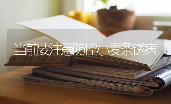 当前要注意防控小麦条锈病 | 粮油作物种植