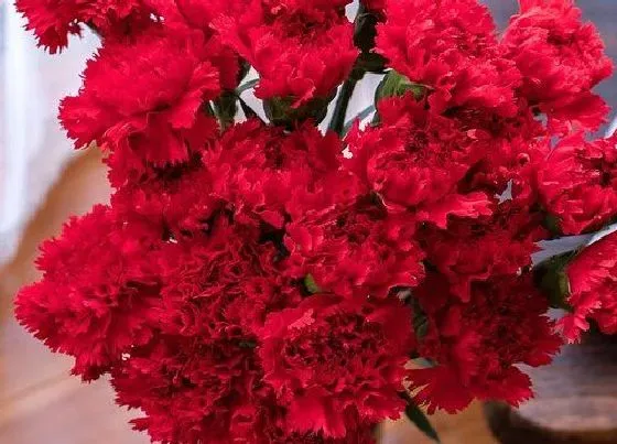 送花|结婚送花送什么花合适（朋友婚礼当天应该送什么花）