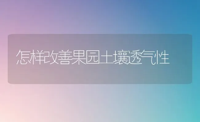 怎样改善果园土壤透气性 | 瓜果种植