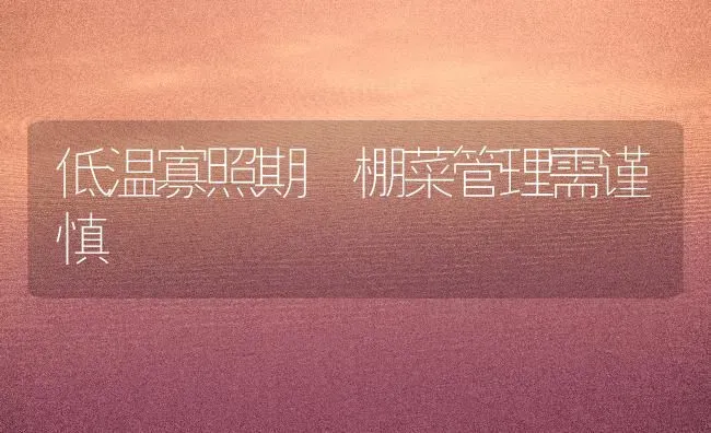 低温寡照期 棚菜管理需谨慎 | 蔬菜种植