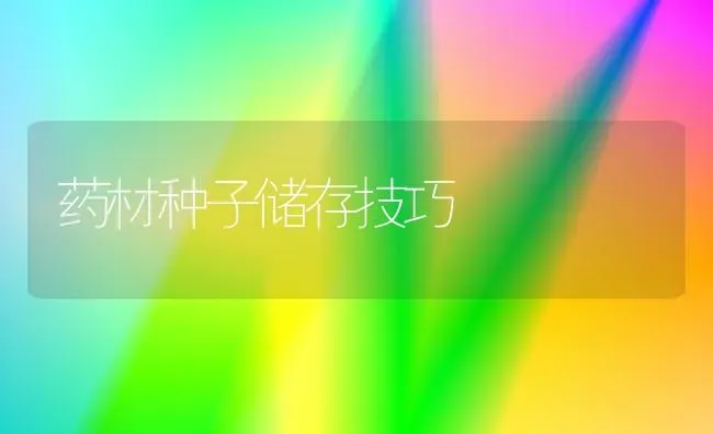 药材种子储存技巧 | 药材种植